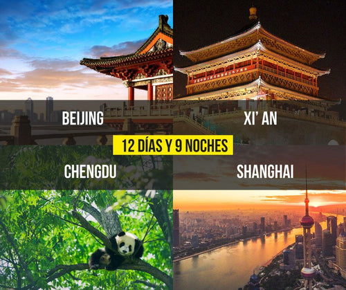 Descubre a los Pandas