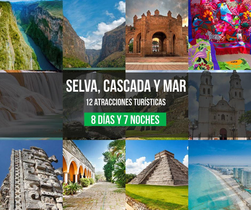 Selva - Cascada y Mar