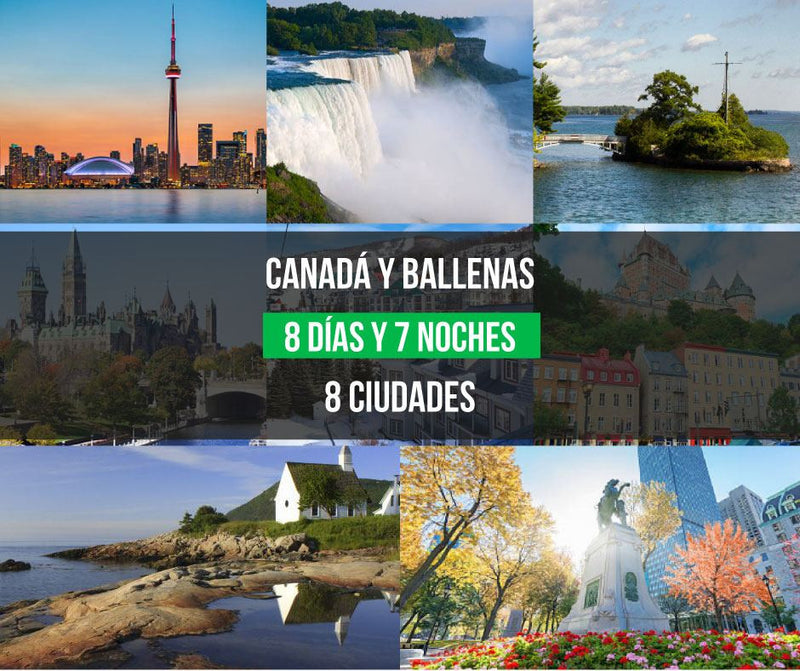 Canadá y Ballenas